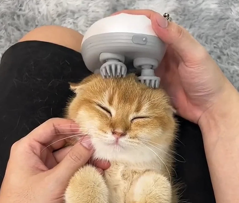 Cat Massager – Gentle Relaxation & Comfort for Your Pet