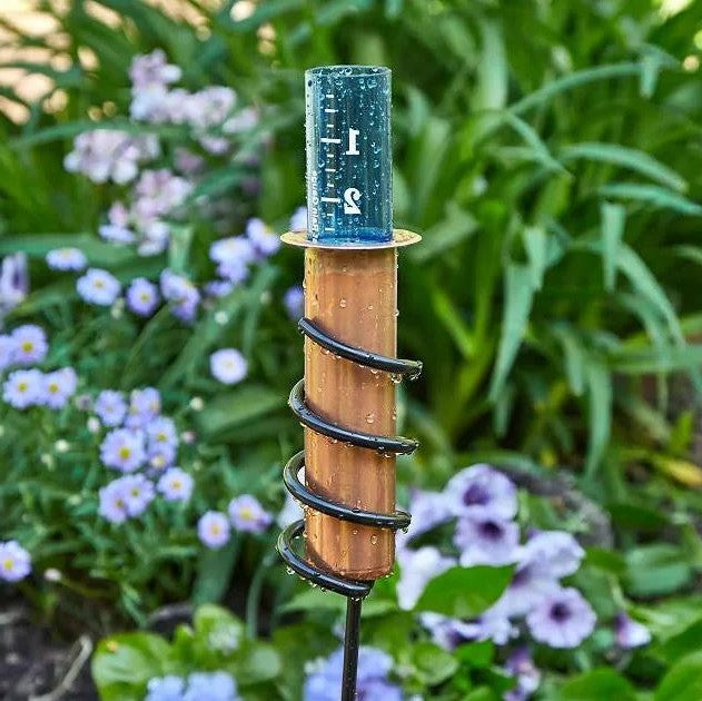 Copper Rain Gauge