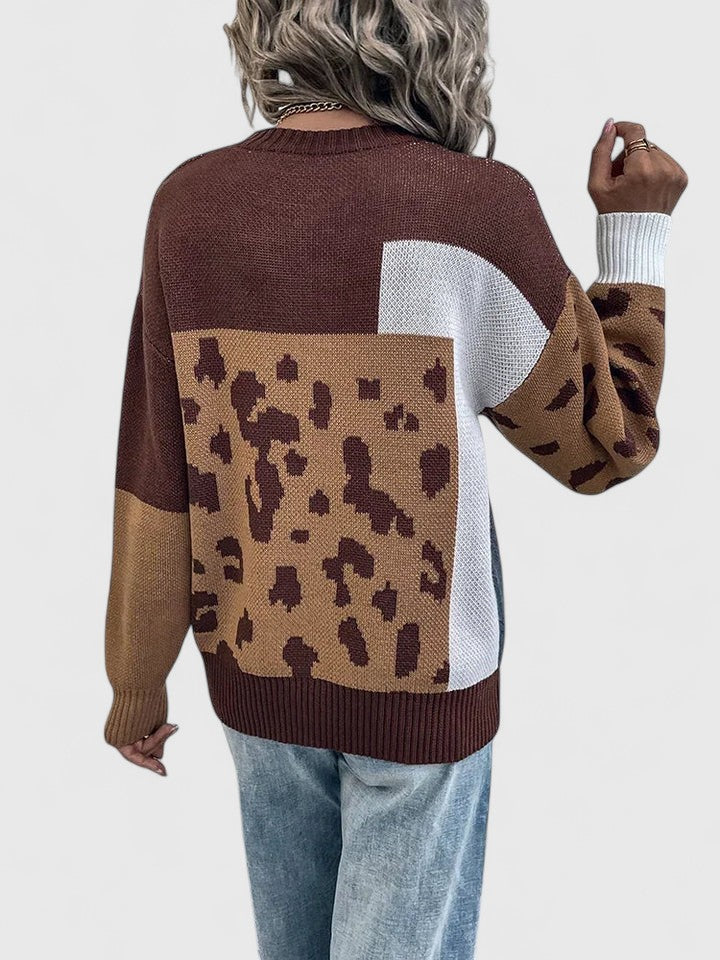 Teresina | Women's Cashmere Leopard Print Sweater