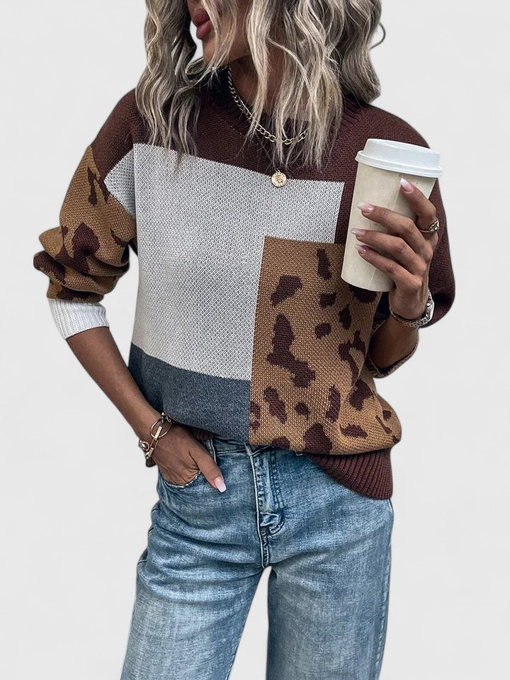 Teresina | Women's Cashmere Leopard Print Sweater