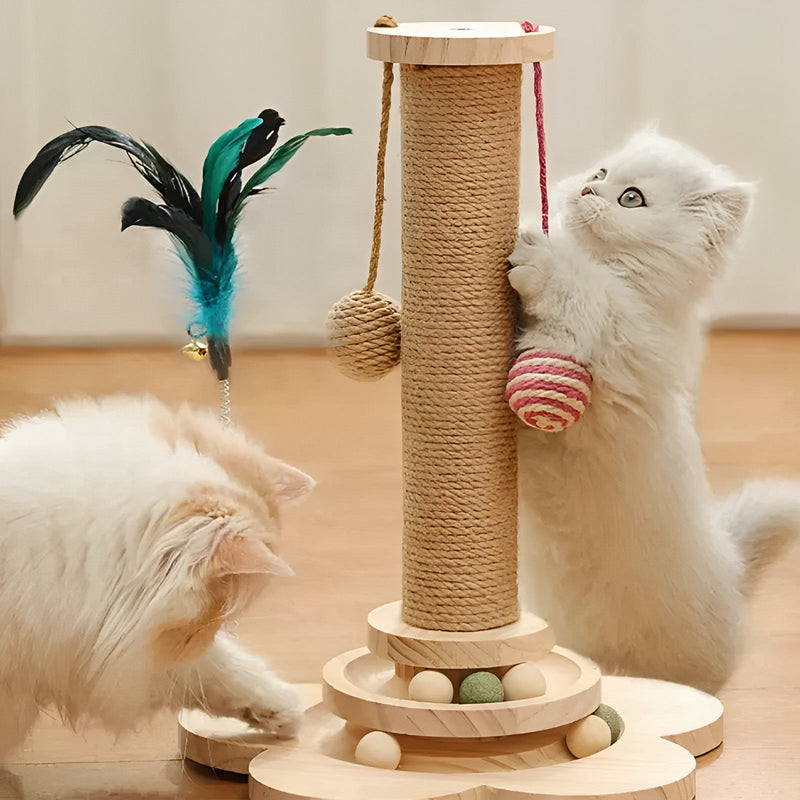 Cat Scratching Post