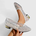 Sequin Lace Mesh Pointed Toe Gold Heel Ballet Flat