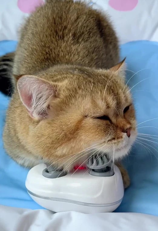Cat Massager – Gentle Relaxation & Comfort for Your Pet