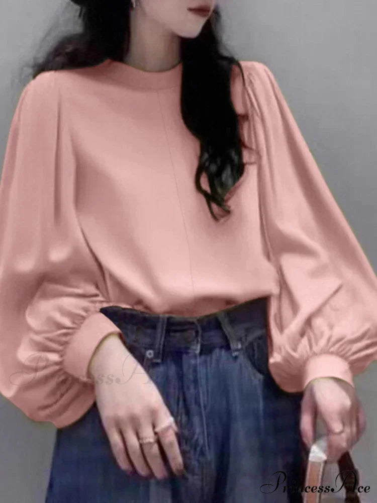 Net Lantern Sleeve Top Spring Tunic Top