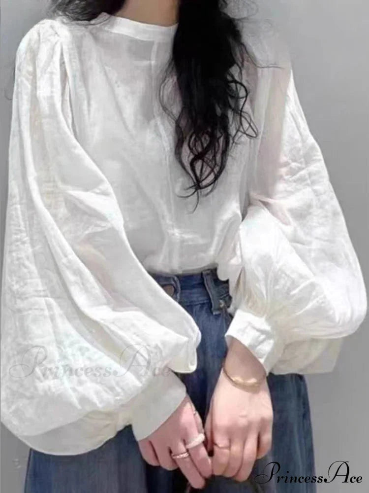 Net Lantern Sleeve Top Spring Tunic Top