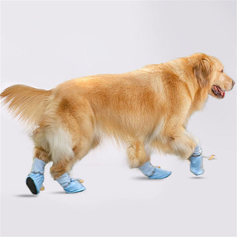 Anti-Slip Dog Shoes for Summer: Medium to Large Paw Protectors