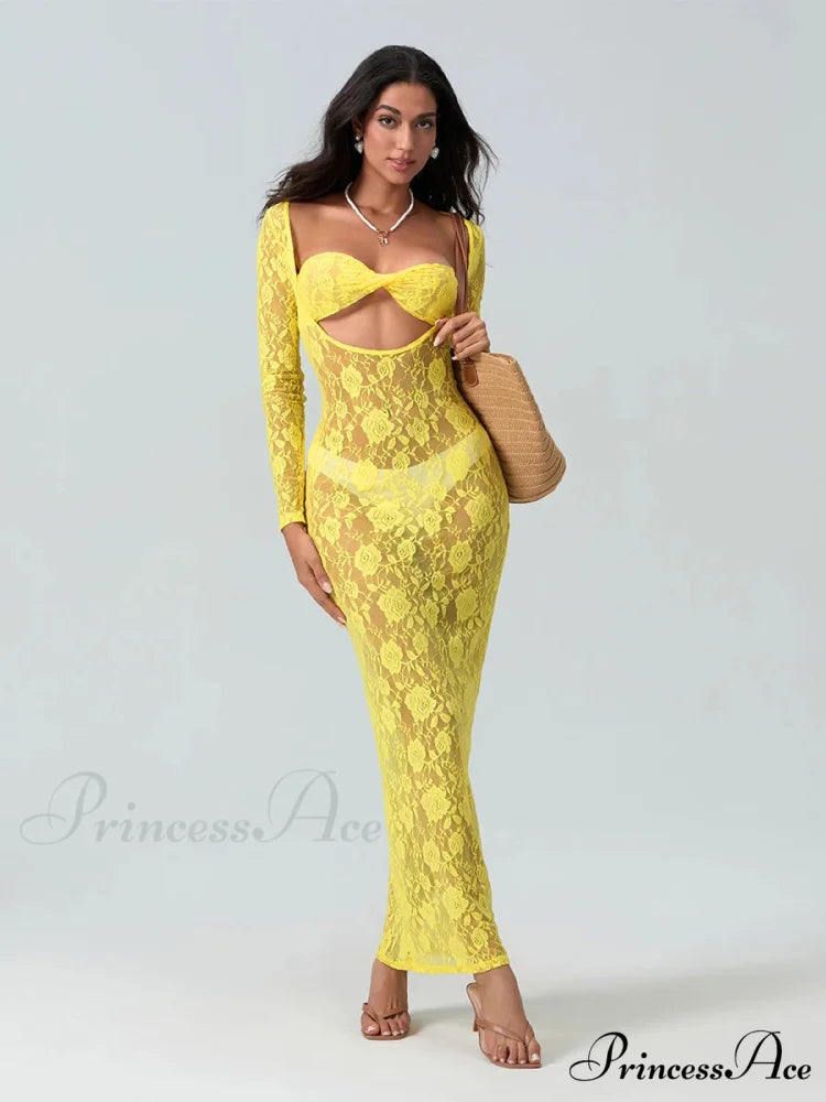 Seductive Transparent Lace Sheer Long Sleeve Beach Floral Dress